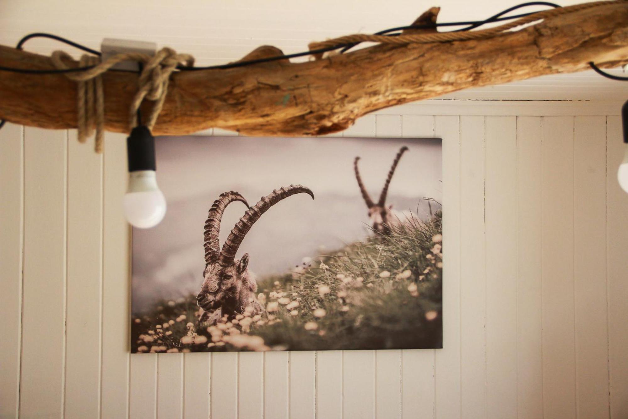 Ferienhaus Zum Klettersteig - Kletterwand, Abstellraum Fuer Ski Oder Bikes, Sauna, Kellerbar, Villa Bürs Eksteriør billede